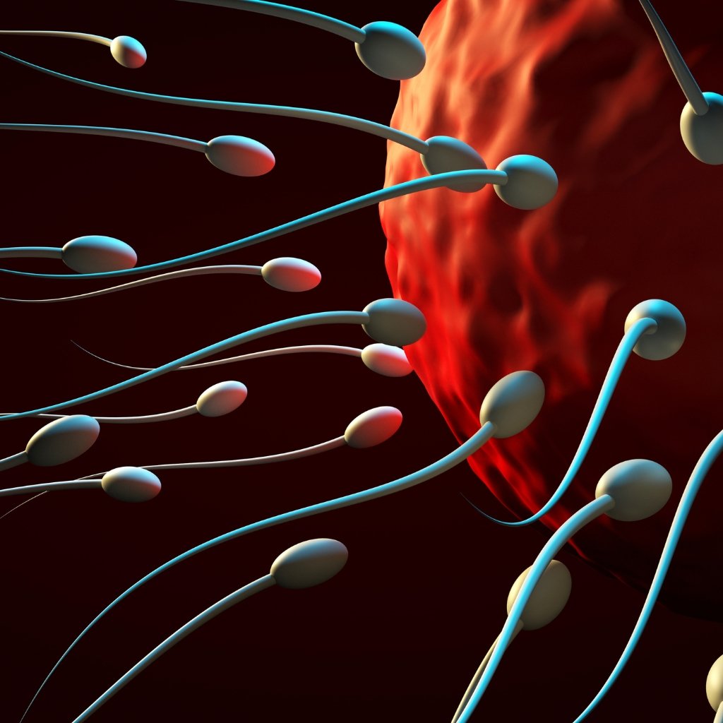 male infertility-causes, symptoms and treatment by Urologist Dr. sumit Bansal in Gurugram and delhi NCR